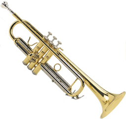 #1: Trumpet