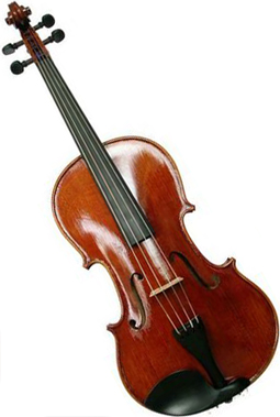 #1: Viola