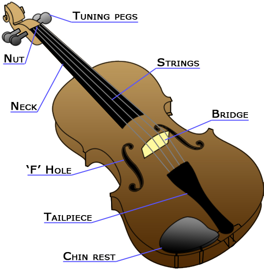 Violin layout